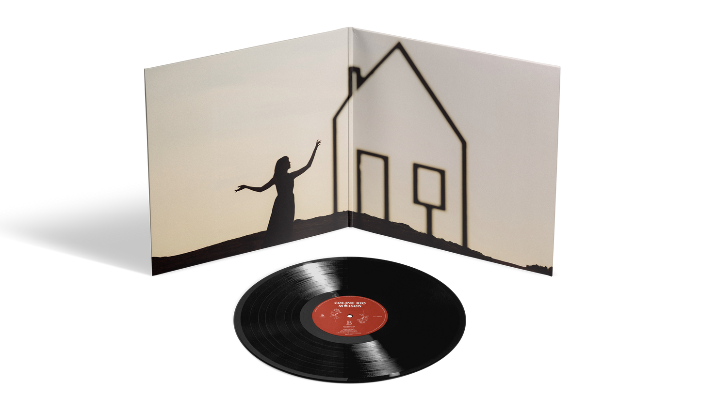 Vinyle